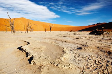 Namib Desert clipart