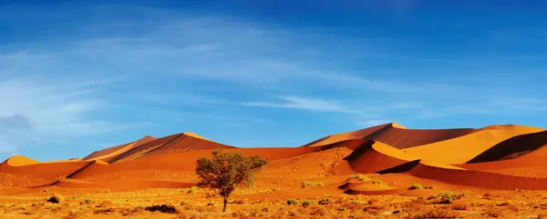 Namíb-sivatag, sossusvlei, Namíbia — Stock Fotó
