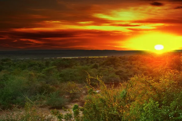 Nascer do sol na savana africana — Fotografia de Stock