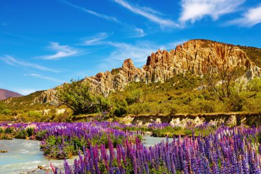 Clay Cliffs, New Zealand clipart