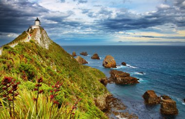 Nugget Point Lighthouse, New Zealand clipart