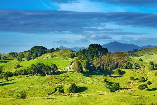 Νέα Ζηλανδία τοπίο — Φωτογραφία Αρχείου