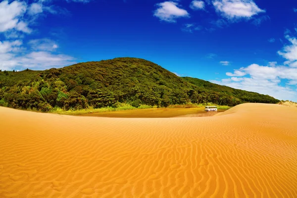 Dune di sabbia giganti e foresta — Foto Stock