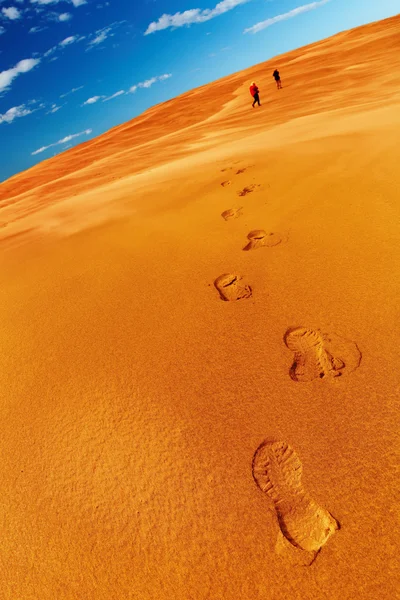 В пустыне — стоковое фото