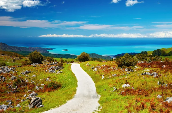 Coastal view, New Zealand — Stock Photo, Image