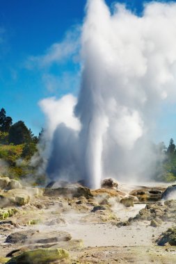 Pohutu Geyser, New Zealand clipart