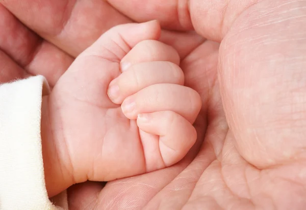 아버지의 야자나무에 담긴 아기의 손 — 스톡 사진