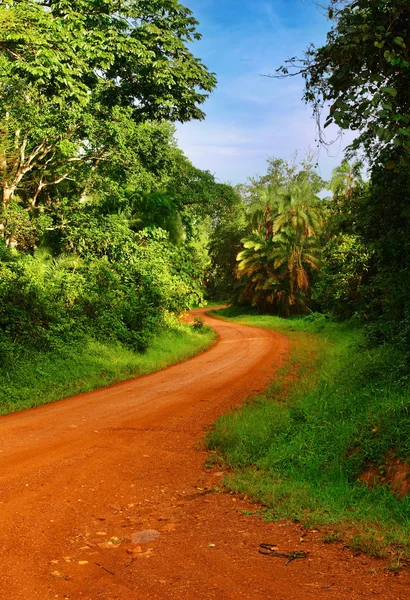 Африканская дорога — стоковое фото