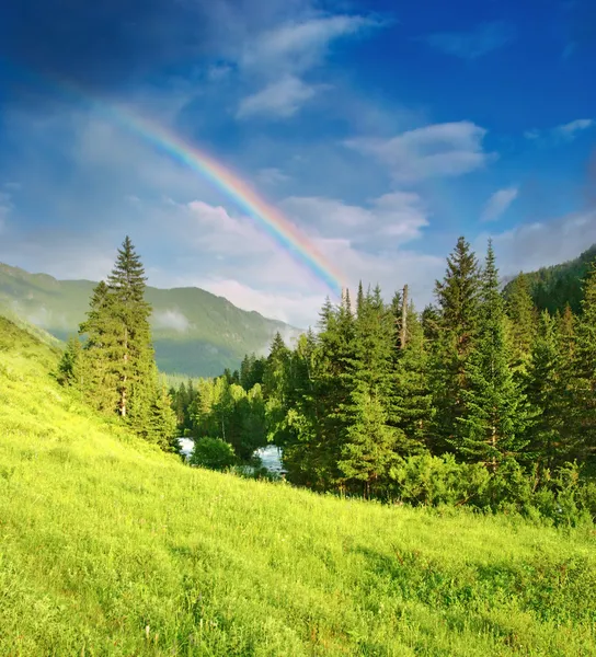 Arco-íris sobre floresta — Fotografia de Stock