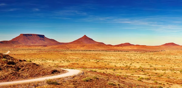 Afrikaanse landschap, damaraland, Namibië — Stockfoto