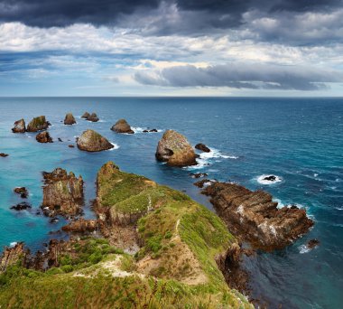 Nugget Point, New Zealand clipart