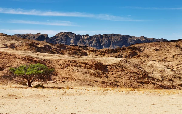 ナミブ砂漠 — ストック写真