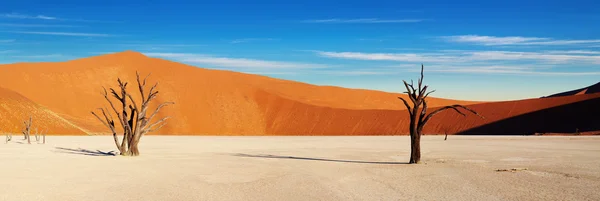 Namibská poušť, sossusvlei, Namibie — Stock fotografie