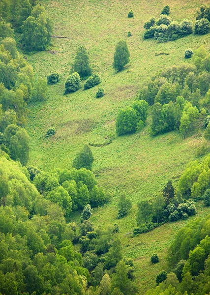 stock image Mountain valley