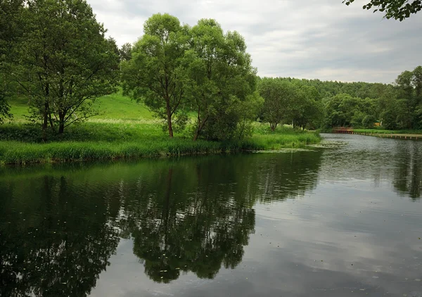 stock image Summer landscape