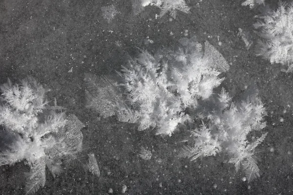 Мороз кристали — стокове фото