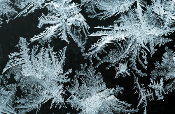 Vinter berättelse — Stockfoto