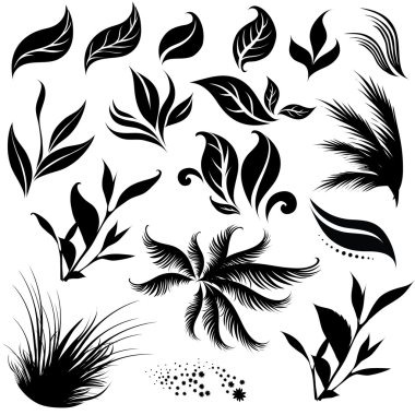 Plant design elemets clipart