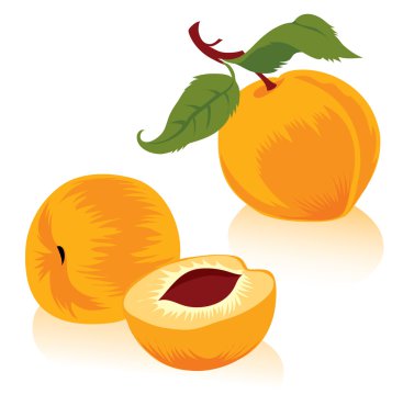 Peach clipart