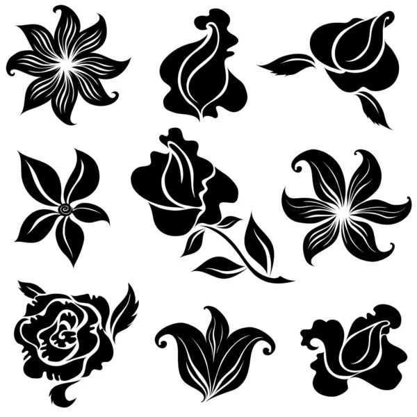 Set of floral design elements — Stock Vector