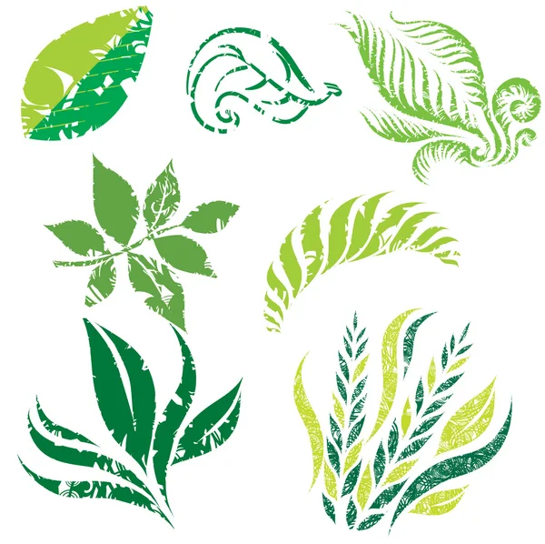 Elementos de diseño de plantas — Archivo Imágenes Vectoriales