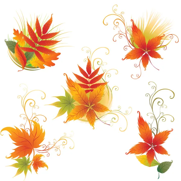 Conjunto vetorial de folhas de outono coloridas —  Vetores de Stock