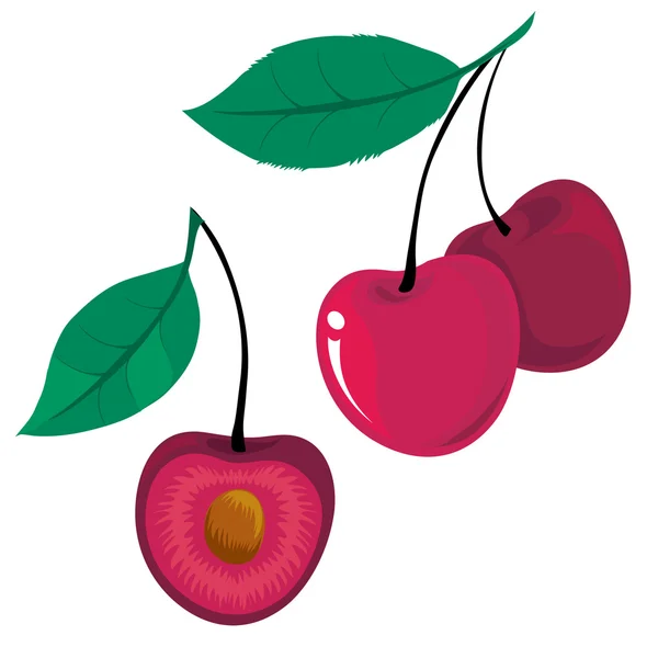 Stock vector Cherry