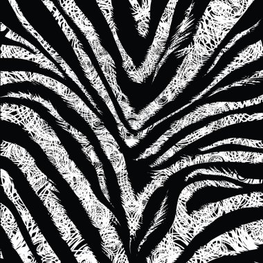 Zebra background clipart