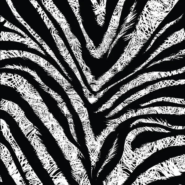 Zebra- baggrund – Stock-vektor
