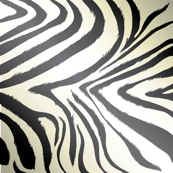 Zebra — Stok Vektör