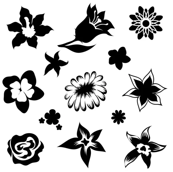 Blumenelemente für die Gestaltung — Stockvektor