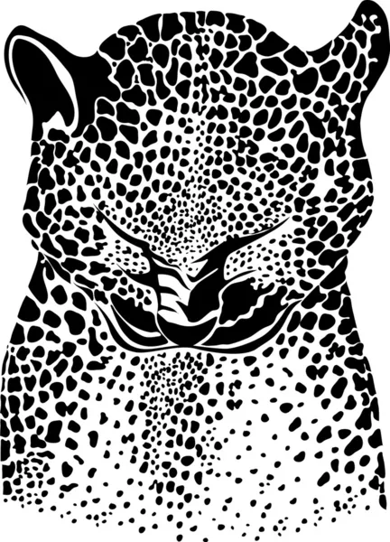 stock vector Leopard