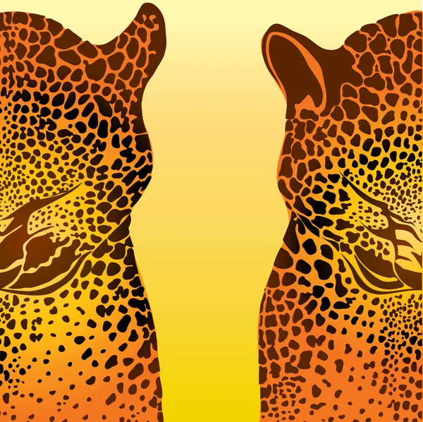 stock vector Leopard