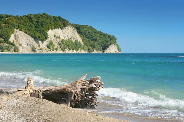 stock image Black Sea's beach
