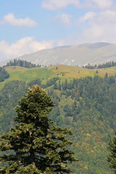 Horách v Abcházii — Stock fotografie