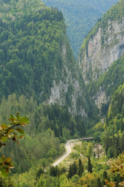 Paisagem da montanha na Abcásia — Fotografia de Stock