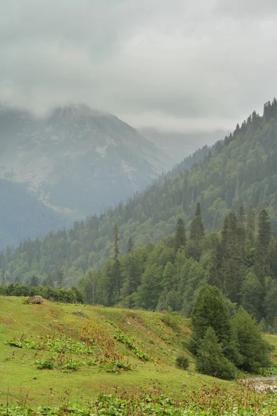 Mountain's landscape in Abkhazia — Stock Photo, Image