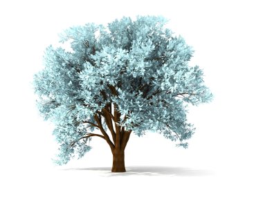 3d wintry tree clipart