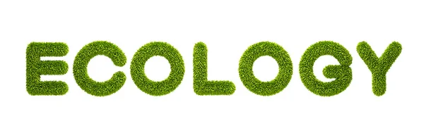 Symboliska gräsbevuxen ordet "ekologi" — Stockfoto