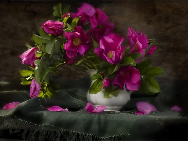 Bouquet de couleurs — Photo