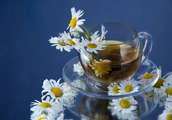 Chá e camomila — Fotografia de Stock