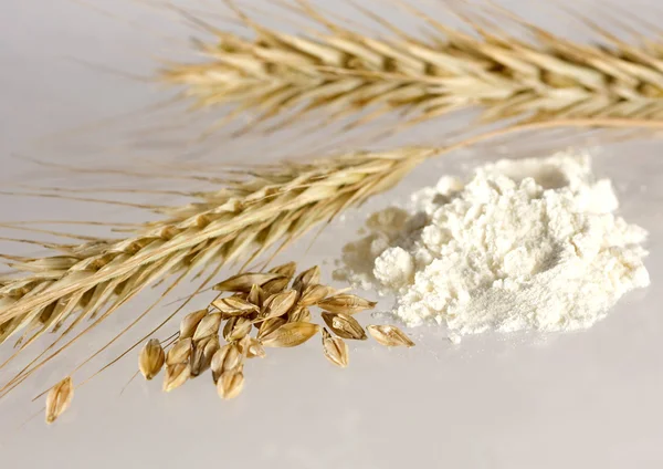 stock image Flour and wheat