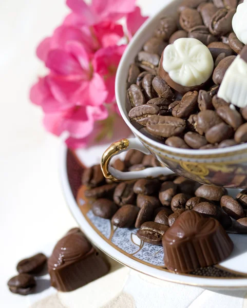 Koffiebonen en chocolade — Stockfoto