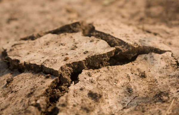 stock image Soil erosion