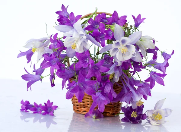 Bouquet of flowers bells — Stock Photo, Image