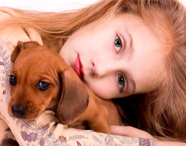 Girl end dog — Stock Photo, Image