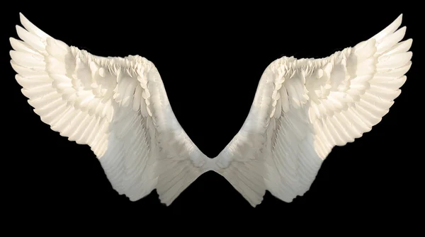 两个翅膀 图库图片
