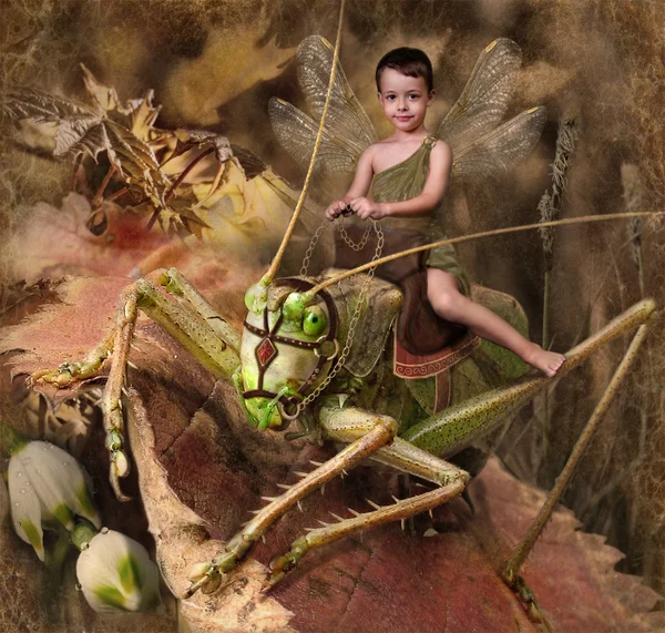 The boy goes on a grasshopper — Stock Photo, Image
