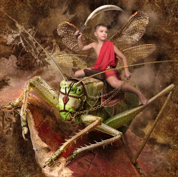 stock image Boy warrior riding on grasshoppers