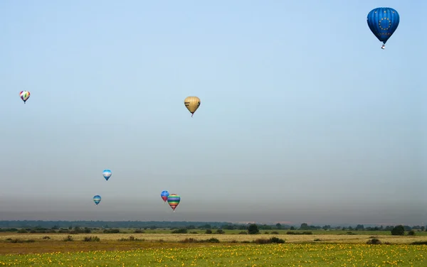 Stock image Seven Balloons